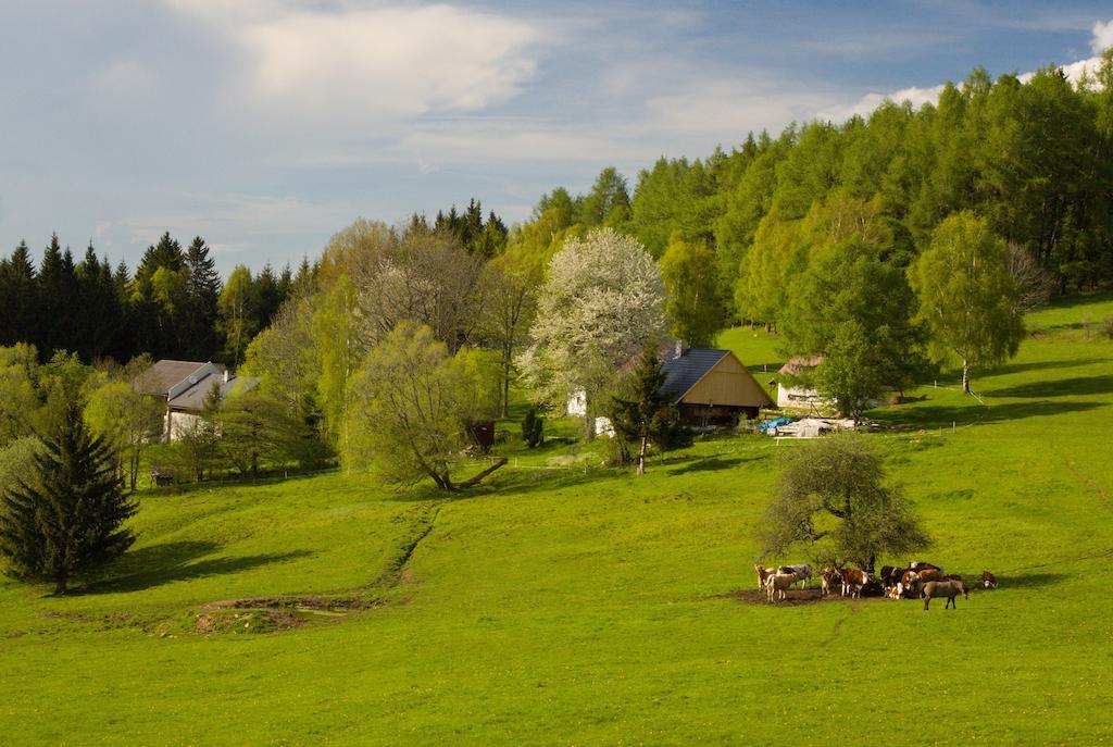 Penzion Stará Vápenka Svinná Exteriér fotografie
